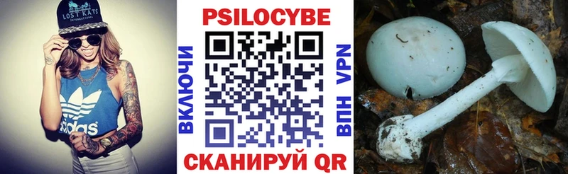 Галлюциногенные грибы Magic Shrooms Голицыно